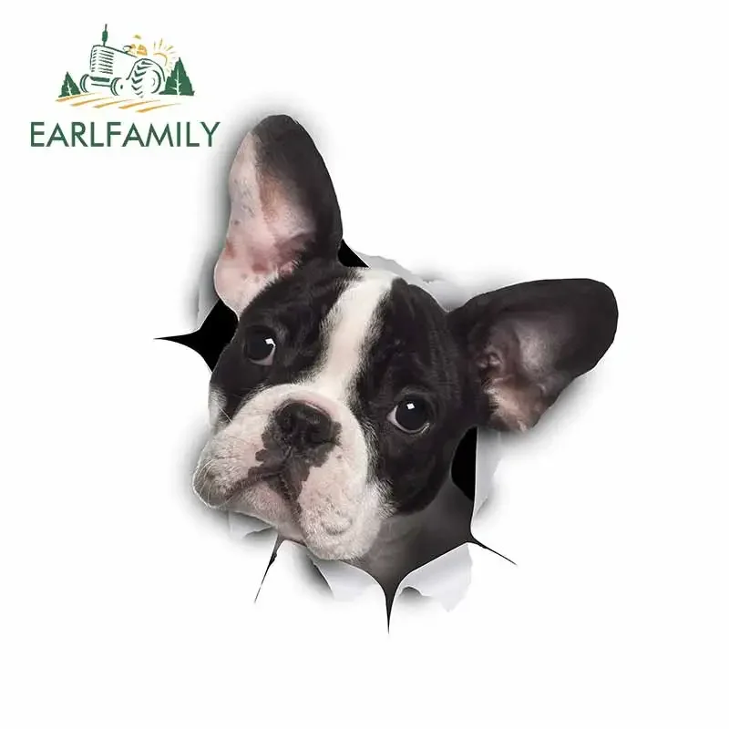 EARLFAMILY 13cm x 11.5cm For Dog Fine Car Stickers Auto Refrigerator Decal Bumper Air Conditioner Decals Repair Decoration