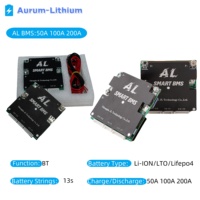 AL Smart BMS\t13S 48V Battery Lifepo4 BMS\tLi-ion LTO Auto Balance 50A 100A 200A Lithium Battery Manager  IOS and Android Power