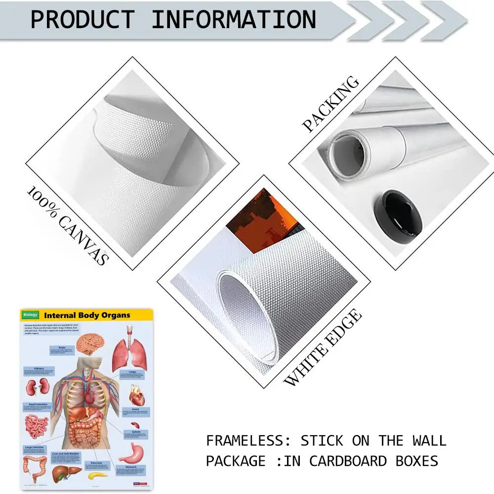 ملصق قماشي لهيكل جسم الإنسان، خالٍ من التجاعيد، مقاوم للماء، متين، ديكور جداري مثالي للمنزل، جميع المساحات #6