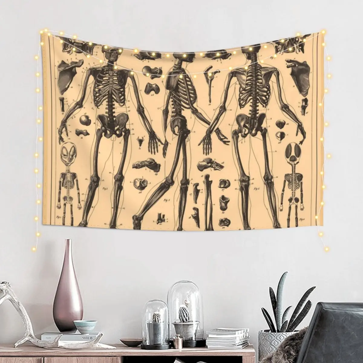 Vintage Human Skeleton Anatomy Diagram (1907) Tapestry Aesthetic Home Decor Wall Decor Hanging Tapestry