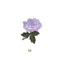 04-purple
