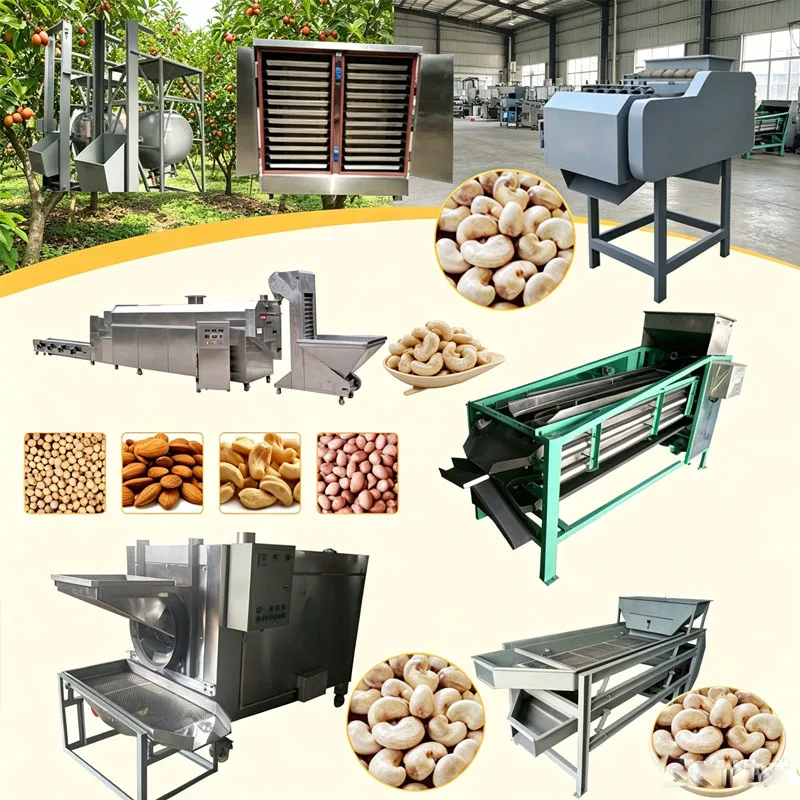 Automatic Cashew Processing Line with Steam Cracking Repeated Shelling Peeling Oven and Air Compressor Customized