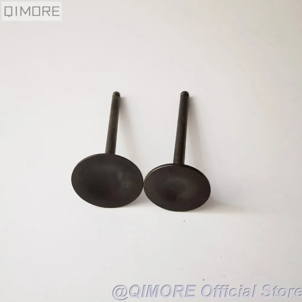 Intake Valve & Exhaust Valve for Scooter ATV QUAD 172MM CF250 CH250 CN250 KS4 Qlink Commuter 250 Roketa MC54-250B