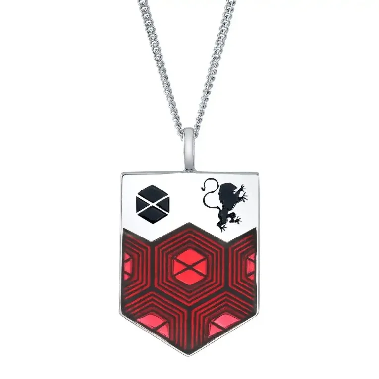 Destiny 2 Professional Warlock Titan Hunter Badge فضة قلادة قلادة لعبة حولها