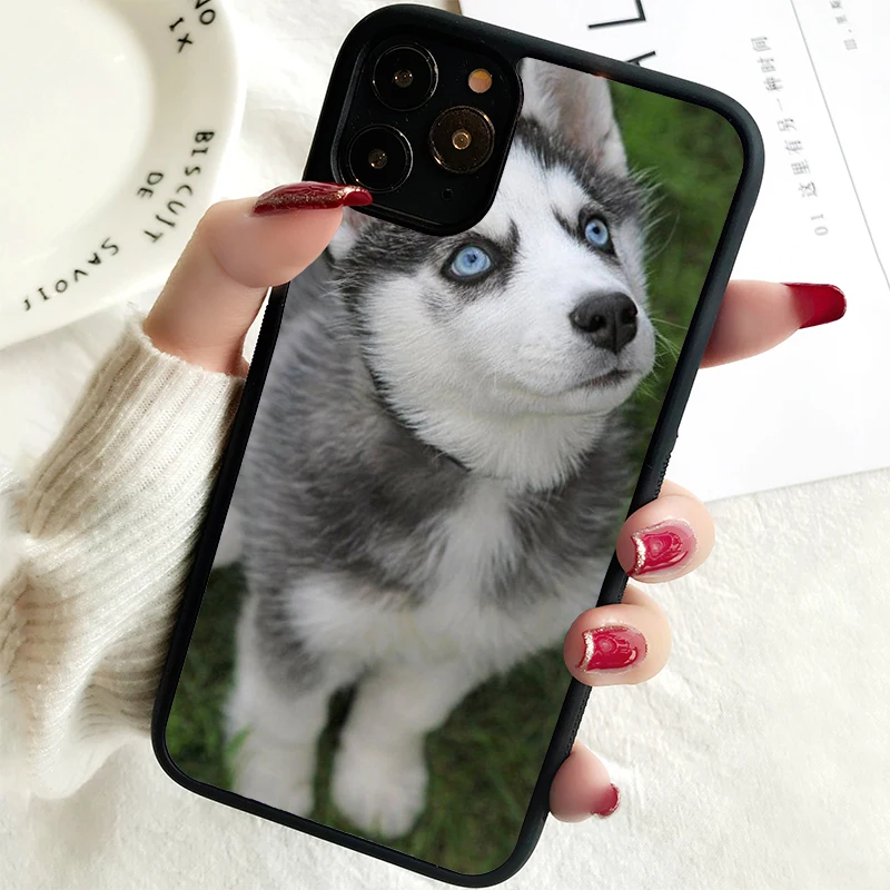 Funda de teléfono 5S SE 2020, carcasa de goma para iPhone 6, 6S, 7, 8 PLUS, X, XS, XR, 11, 12, 13, MINI, 14 PRO MAX, Alaskan, Malamute, Siberian, husky dog