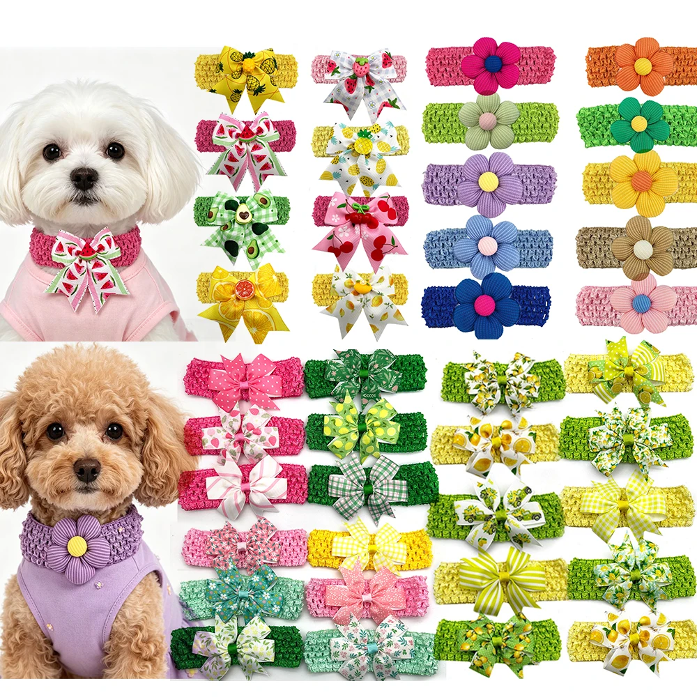 #62 Latest Pet Grooming Supplies Offers