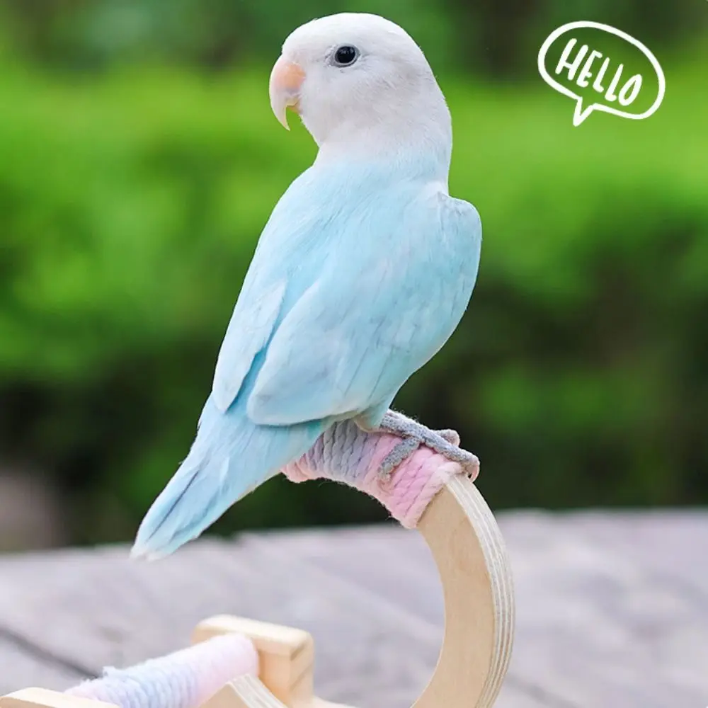 

Wooden Parrot Perch Stand Bite-resistant Flexible Bird Training Stand Wear-resistant Bird Rocking Stand Cage Accessory