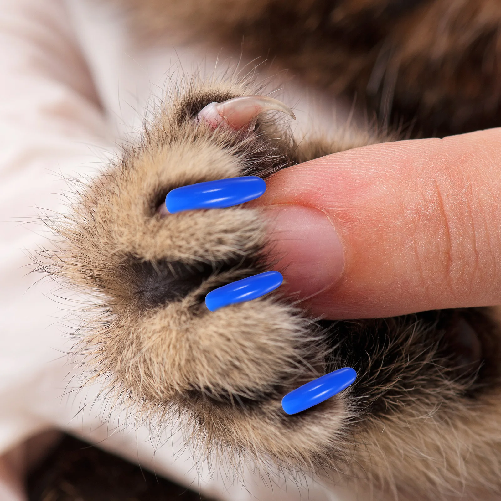 

200Pcs Pet Nail Covers Soft Cat Claw Protectors Anti-Scratch Caps for Furniture Protection Stylish Grooming Tool