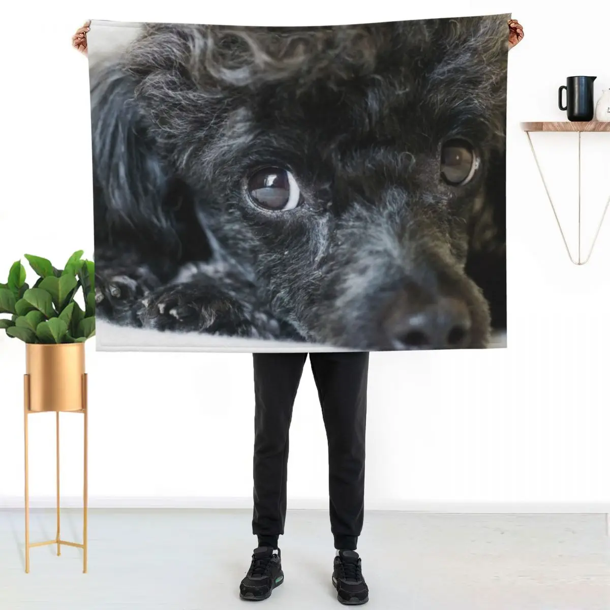 Poodle Throw Blanket blankets ands Winter beds funny gift Decorative Sofa Plaid on the sofa Luxury Thicken Blankets
