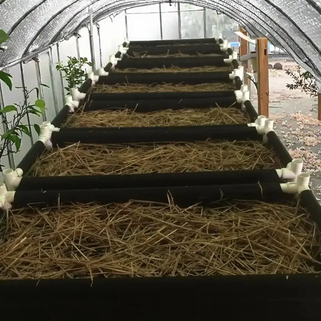 Fabric Planting Container Raised Garden Bed with PVC Pipe Trellis for Greenhouse