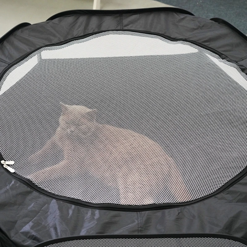 Playtunnel per animali domestici, box per gatti pieghevole, box interattivo per cani, casa cubica Dropship