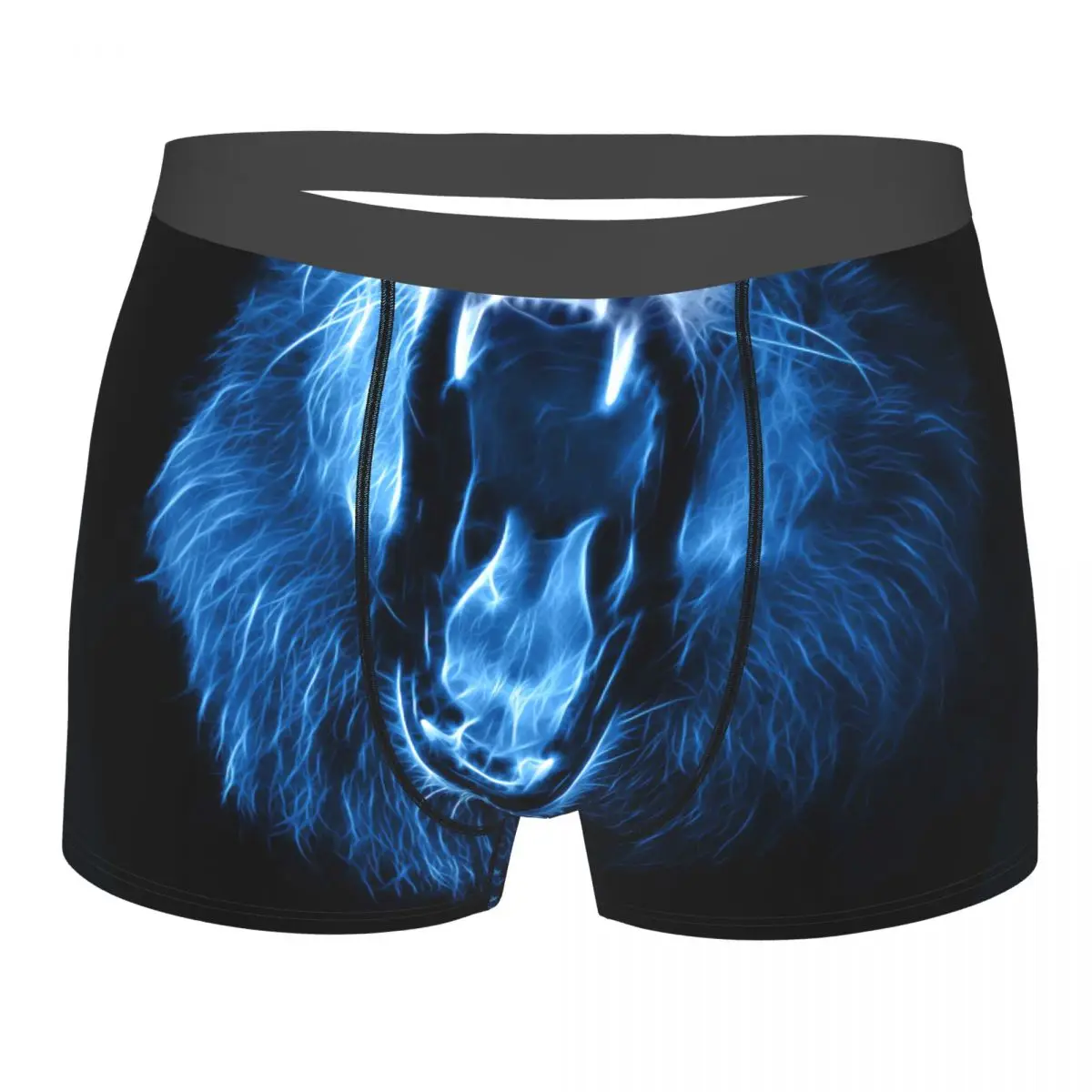 

Digital Fantasy Drawing Of A Lion Underpants Breathbale Panties Male Underwear Print Shorts Boxer Briefs