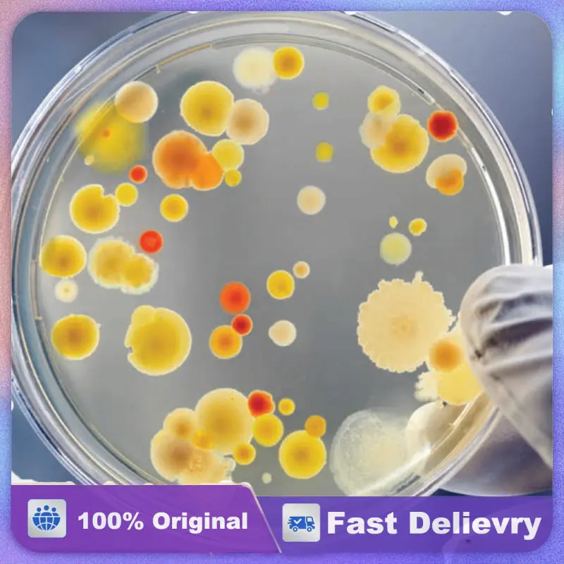 

30 Pcs Petri Dish Set Culture Plate Dishes Lab Laboratory Plates Science with Lids