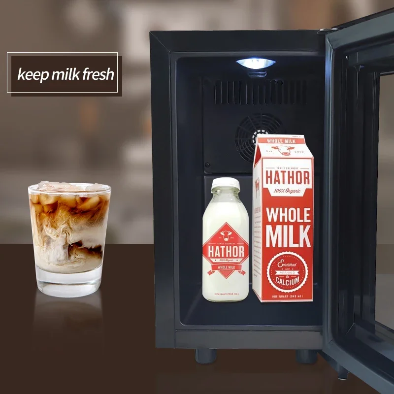 12L Mini Refrigerat…