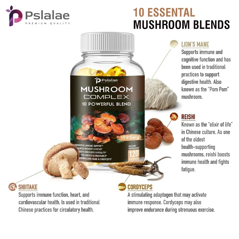 Mushroom Supplements - Support The Immune System, Memory, Focus and Clarity and Increase Energy