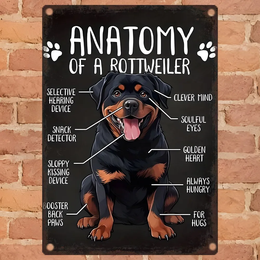 Vintage Rottweiler Anatomy Metal Wall Art, 8x12 Inch Iron Dog Poster for Home Decor, Retro Breed-Specific Illustration