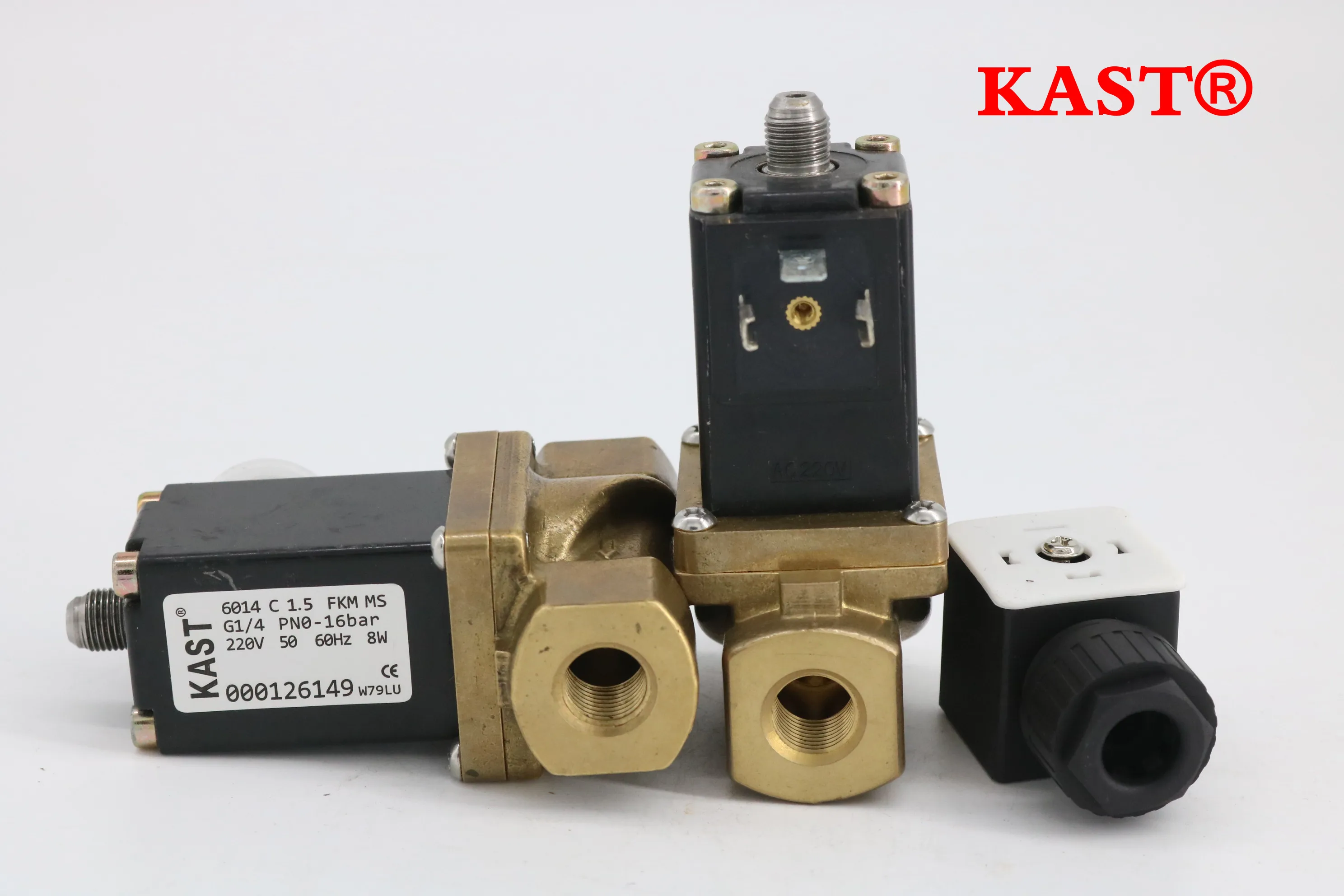 Air Compressor Parts 1089059026 Unloader Valve Blow off Valve Inch 110v with Solenoid Valve