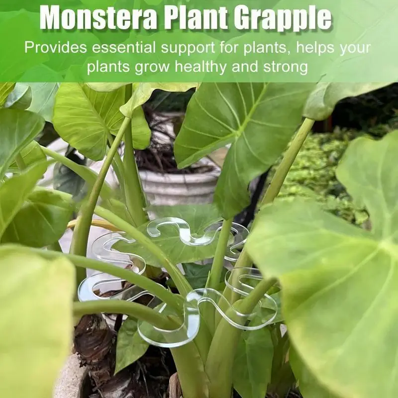

Держатель стебля растений Monstera, поддержка растений, прозрачный многоразовый стабилизатор для цветов, овощей, держатель, стопорные зажимы