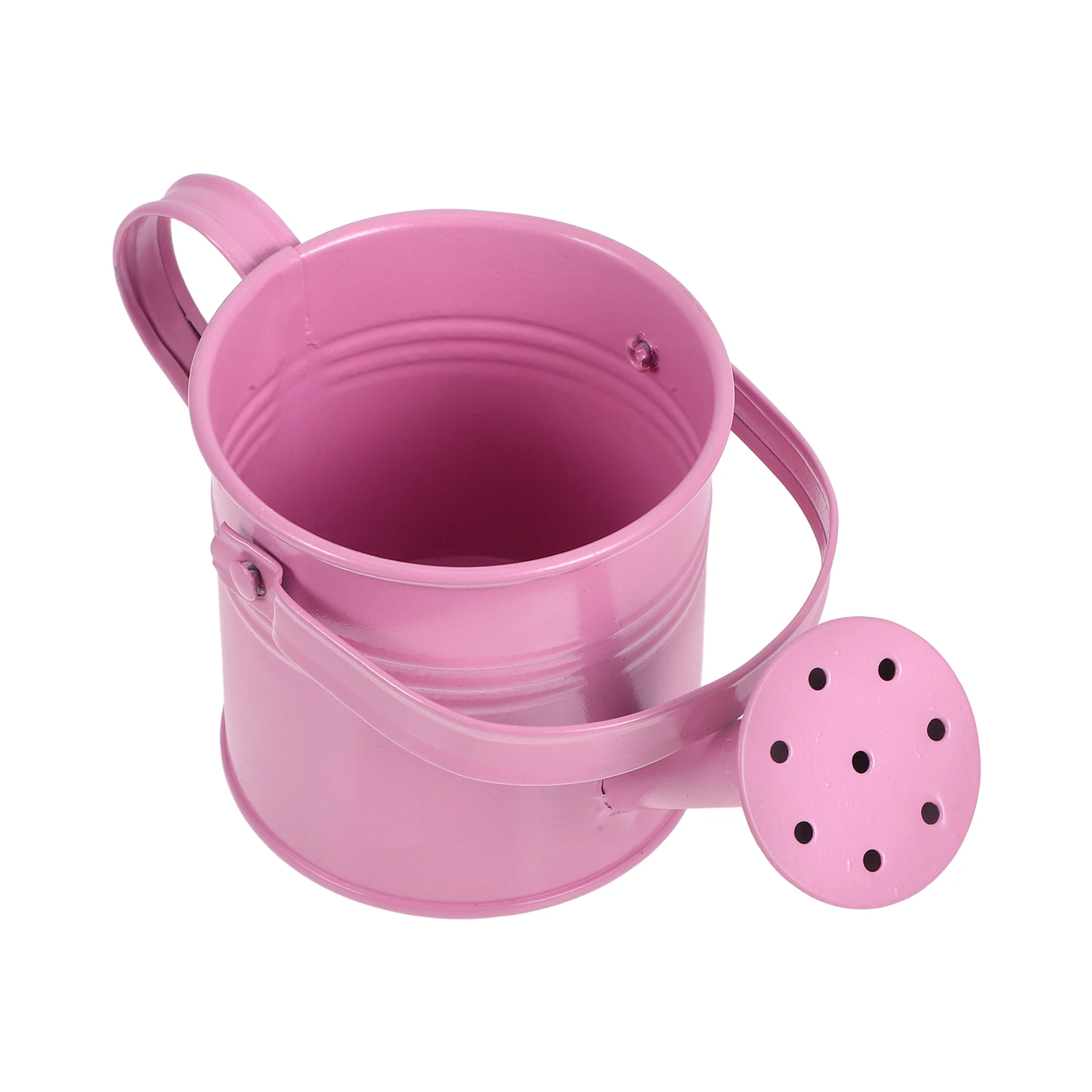 

1pc Mini Watering Metal Watering Can Flowerpot for Succulents Indoor Plants Long Spout Sprayer Small Garden Home Desk