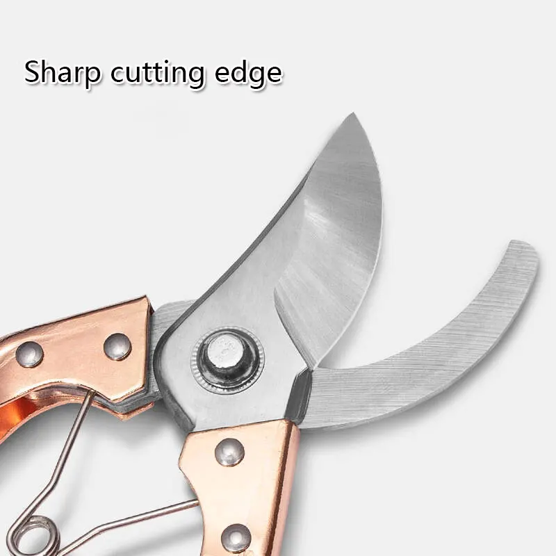 For Branches Thick …