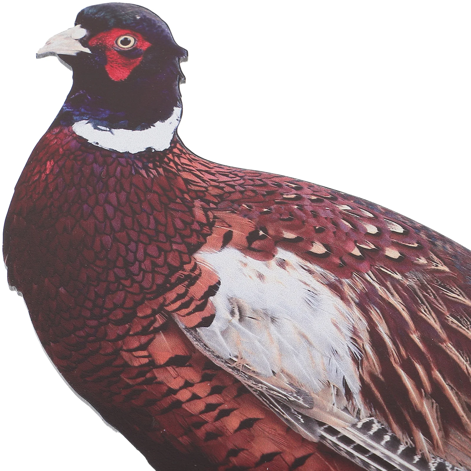 

2pcs Acrylic Decorative Inserts Double Sided UV Resistant Outdoor Garden Stake Yard Sign Lawn nament Pheasant Decor