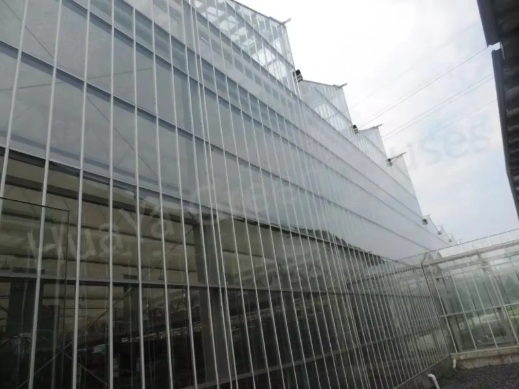 الدفيئة الزجاجية على شكل خاص للإنتاج الزراعي، الهندسة المعمارية القابلة للتخصيص لزراعة الخضروات والفواكه #6