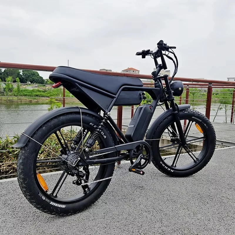 QQA Occidental V8 Professional 24 inch electric mountain bike large tires fat electric bike adult 25 km/h speed 60 km range lith