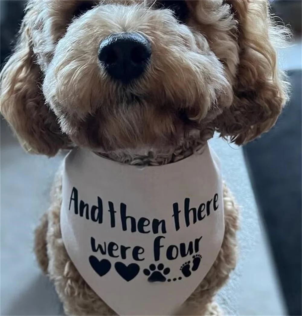 And Then There Were Four Dog Bandana Baby Announcement Dog Collar Pregnancy Baby Shower Gift Baby Coming Soon