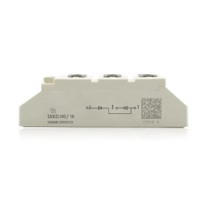 SKKD100-04  SKKD100-06  SKKD100-08  SKKD100-12  SKKD100-14  SKKD100-16  SKKD100-18   IGBT Module New Original