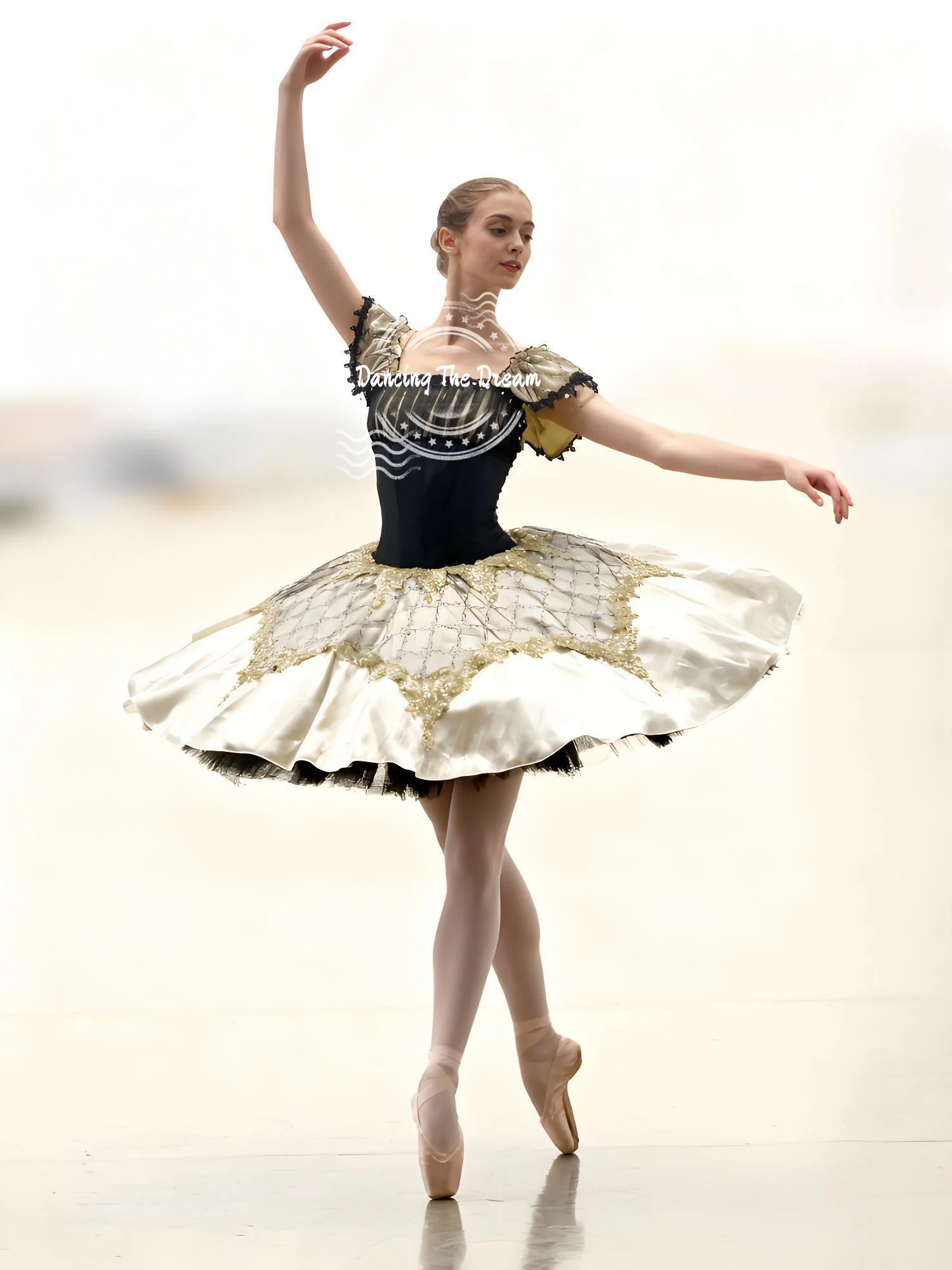 

Professional Ballet Tutu Skirt for Girls And Women Dance Performance Costume