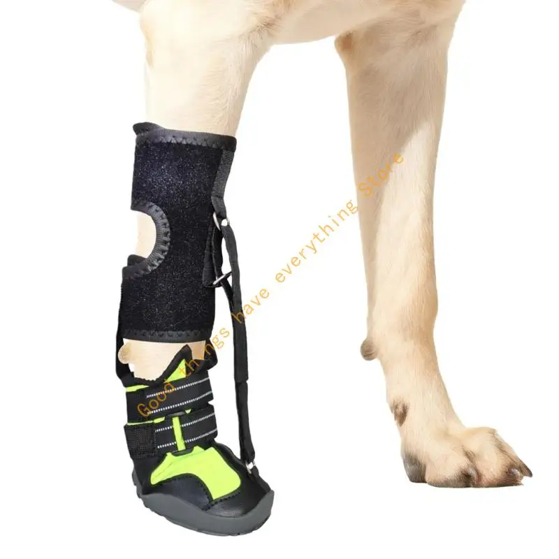 

Corrective Dog Shoes to Safely Lift Toe Drop Foot Brace with Reel for Dog 55KF