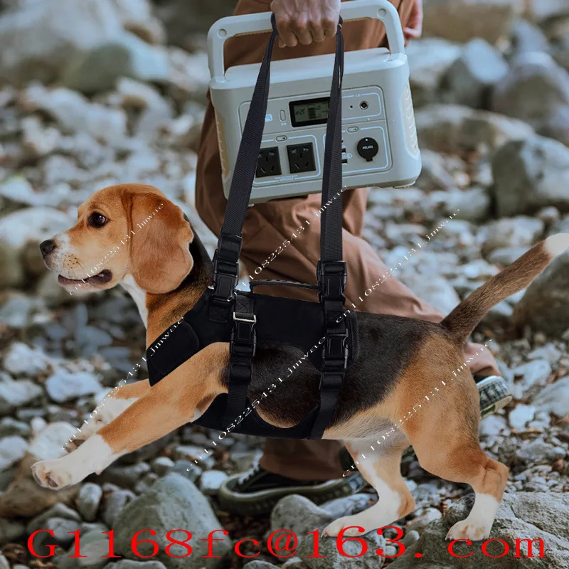 Portable Auxiliary Leash Disabled Dog Auxiliary Belt
