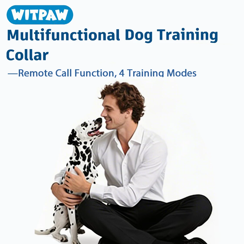 Dog Shock Collar 4900FT Dog Training Collar with Remote/Call Function/Light IP67 Waterproof Electric Collar for Dogs