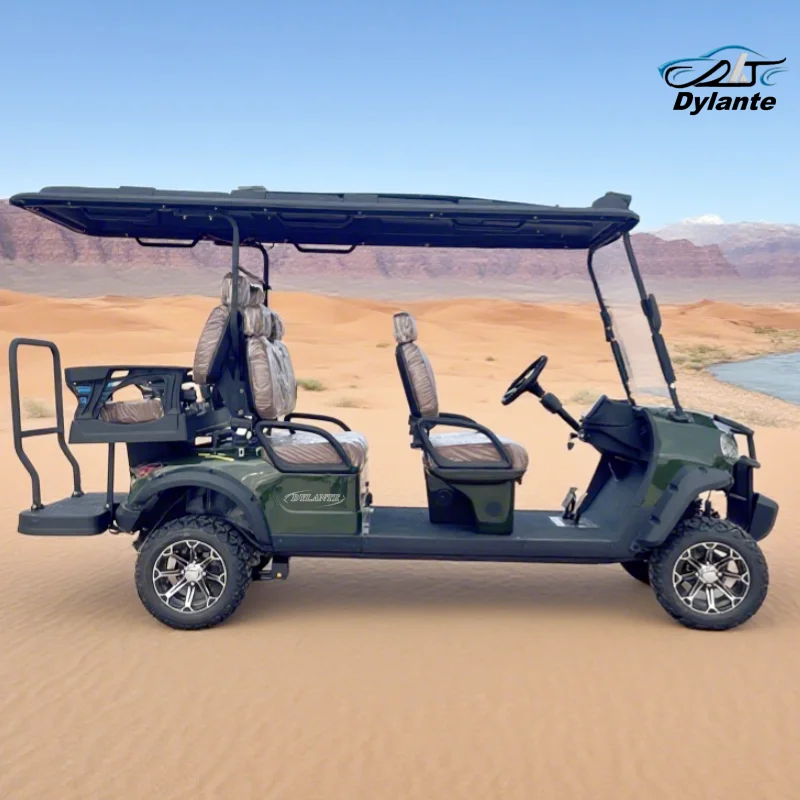 

6-местная литиевая батарея, тележка для гольфа, скутер для взрослых, 48 В, 60 В, свинцово-кислотная батарея и литиевая батарея, дополнительная тележка для гольфа с питанием