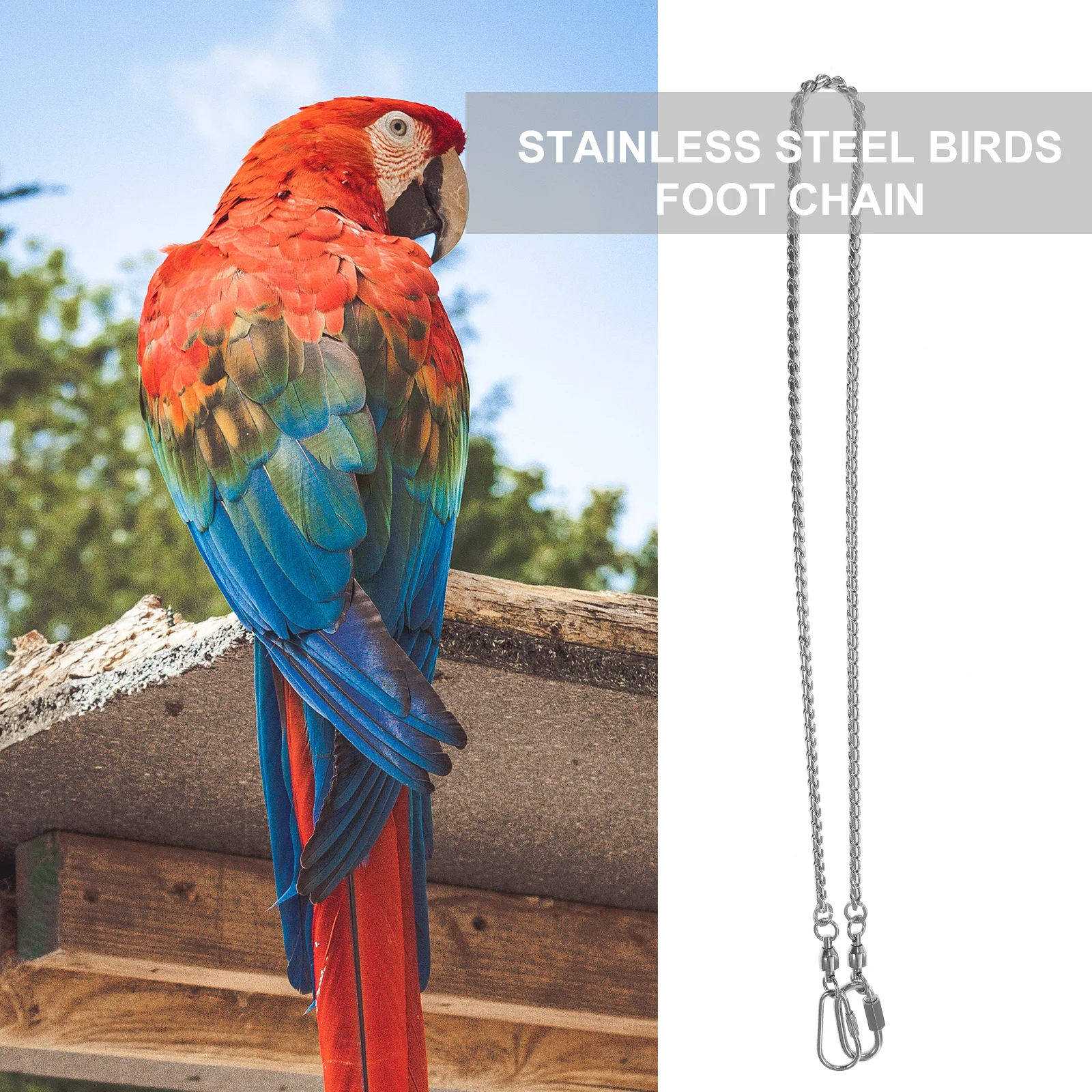 

Stainless Steel Birds Foot Chain Durable Anti-Off Ankle Rings Foot Ring for Cockatiels Peony Lovebird Parrot Anklet