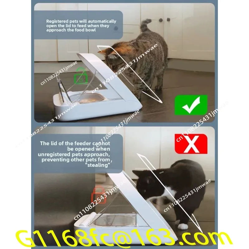 Intelligent Chip Recognition and Sensing Multi Cat Automatic Feeder for Wet Food Preservation, Pet Cat Bowl Insect Prevention