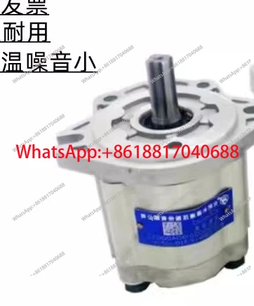 pompa-a-ingranaggi-cbw-f304-f306-f310-f314-f316-f320-alp-cfp-cfh