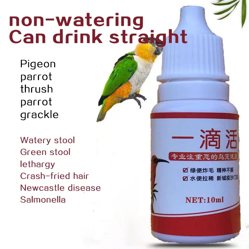 Paloma loro pájaro todo en uno salvavidas fluido acondicionador Diarrhea taburete verde Salmonella Newcastle enfermedad depresión mental