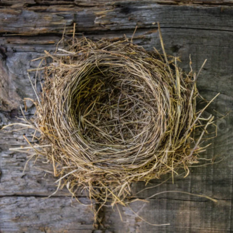 Metal de aço inoxidável chassi armadura guarda proteção placa skid para tamiya hornet evo rc carro atualização peças