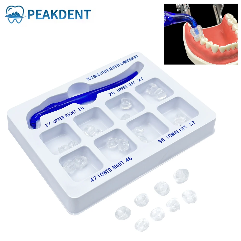 

Dental Posterior Teeth Aesthetic Printing Mould Kit For Light Cure Composite Restoration Filling Tools
