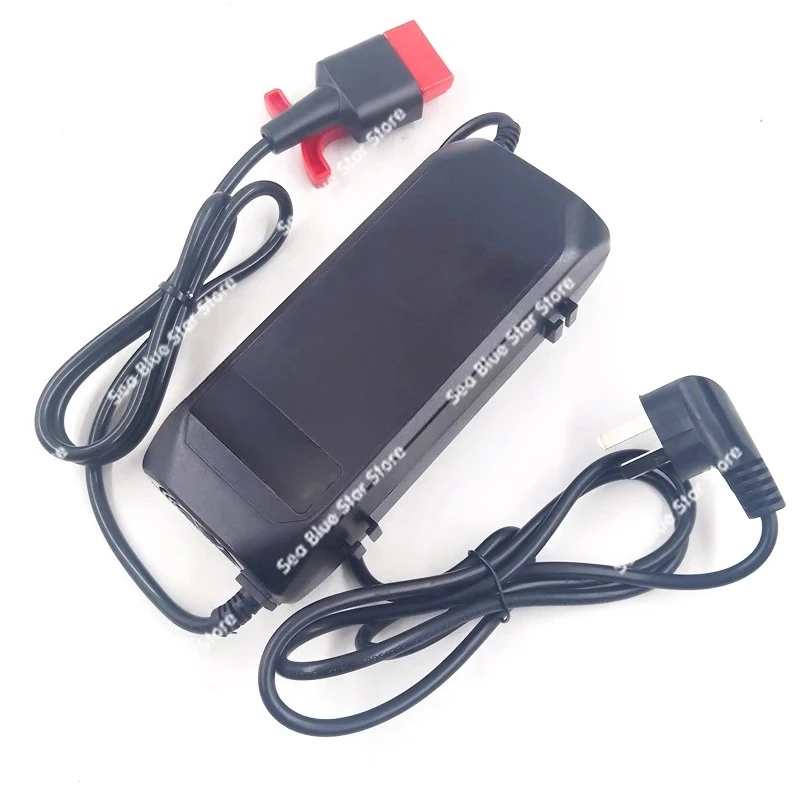 F4 electric forklift lithium battery charger 29.2V5A view 2