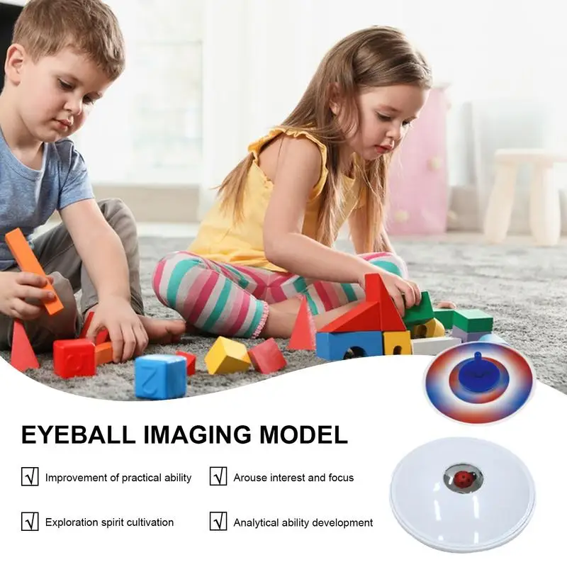 Anatomy Model For Kids Human Eyeball Anatomy Model Biology Teaching Body Model Human Interactive Toy Brain Model Equipment