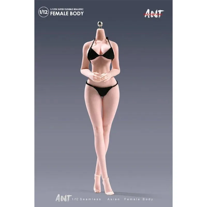 

1/6 Scale Action Figure T302/303/305/306/AB001/T307 Super Flexible Female Seamless Body for 12'' Soldier Dolls Decor