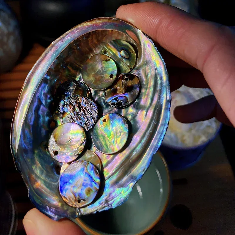 Czysto ręcznie polerowany okrągły wisiorek z muszli Abalone z dziurkowanymi otworami w muszli i muszli