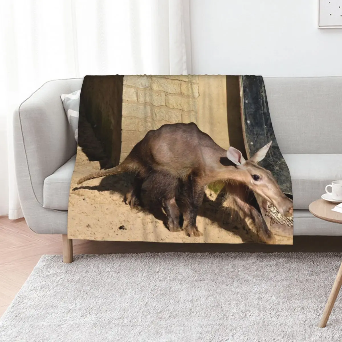 

Aardvark Beauty Throw Blanket Blankets Sofas Of Decoration Luxury St Blankets For Sofas Luxury Brand Blankets