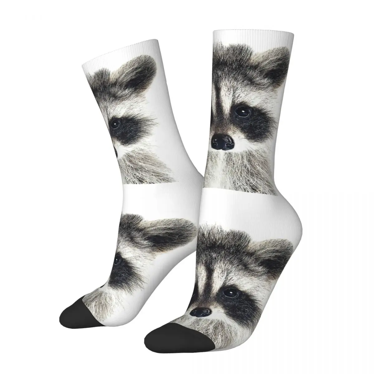 Baby Raccoon Raccoon Unisex Winter Socks Running Happy Socks Street Style Crazy Sock