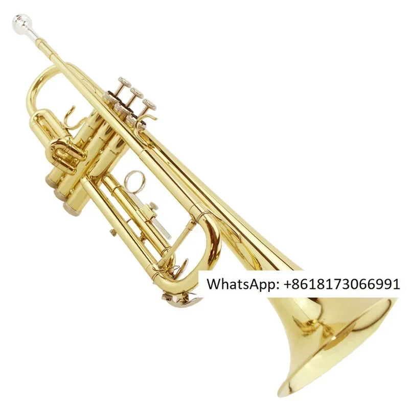 Instrumento De Trom…