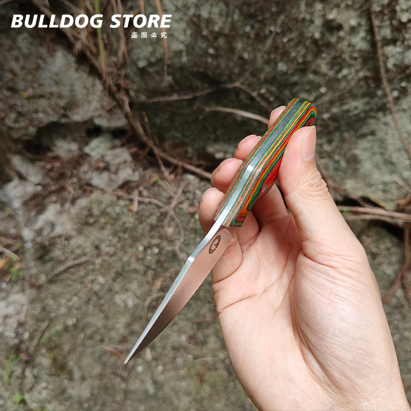 EDC في الهواء الطلق المحمولة شفرة مثبتة سكين مع غمد صغير التخييم بقاء Bushcraft السكاكين التكتيكية والعتاد سكين الجيب الأصلي