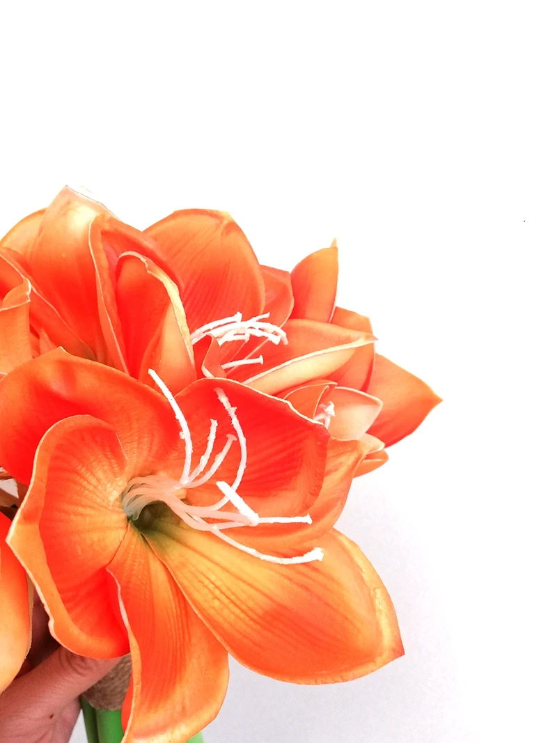 2023 neue Ankunft Whitney 8 10 zoll Klassische Stil Orange Clivia Hochzeit Bouquet Helle Farbe Brautjungfer Hand holding Blumen