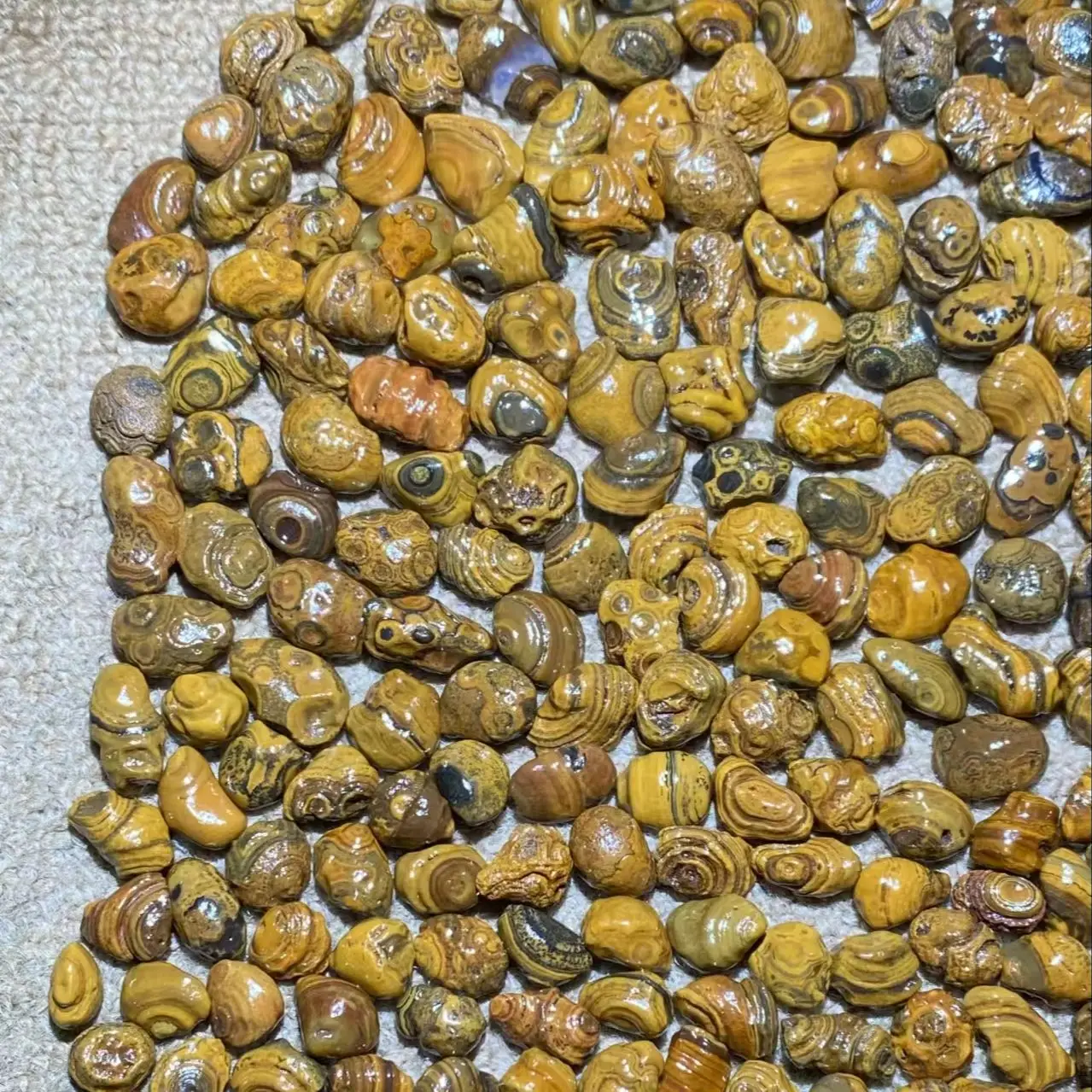 277pcs/lot boutique natural three-dimensional relief surface coin eye stone loose beads wholesale Gobi agate grain Pretty rare